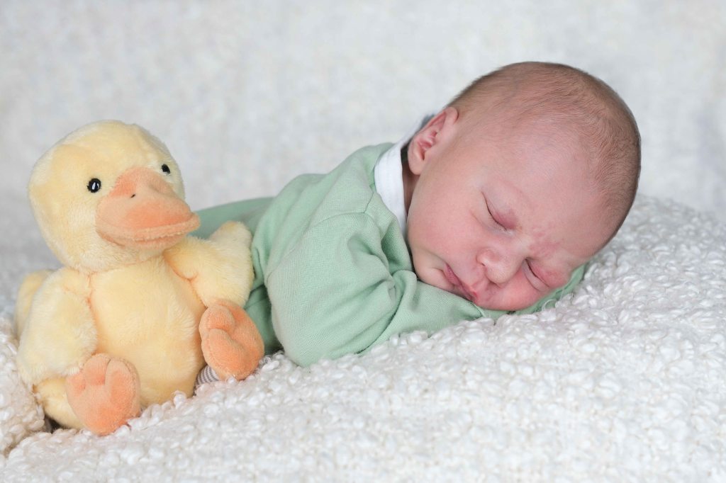 Paul Stephan Watson&nbsp;Herbst