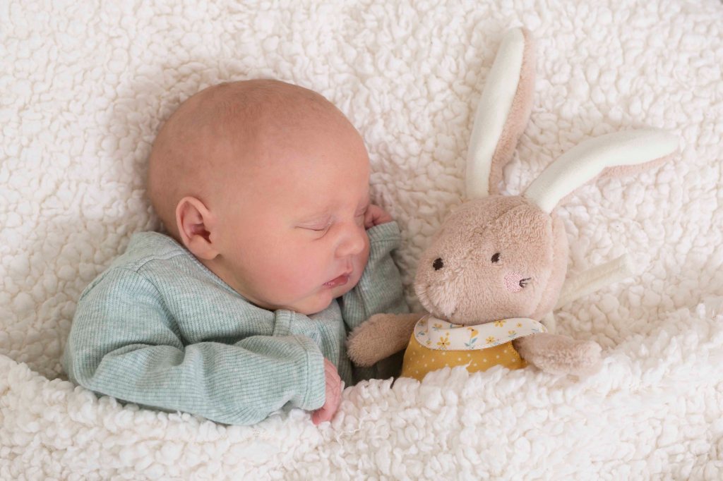 Josephine Theres Bauer