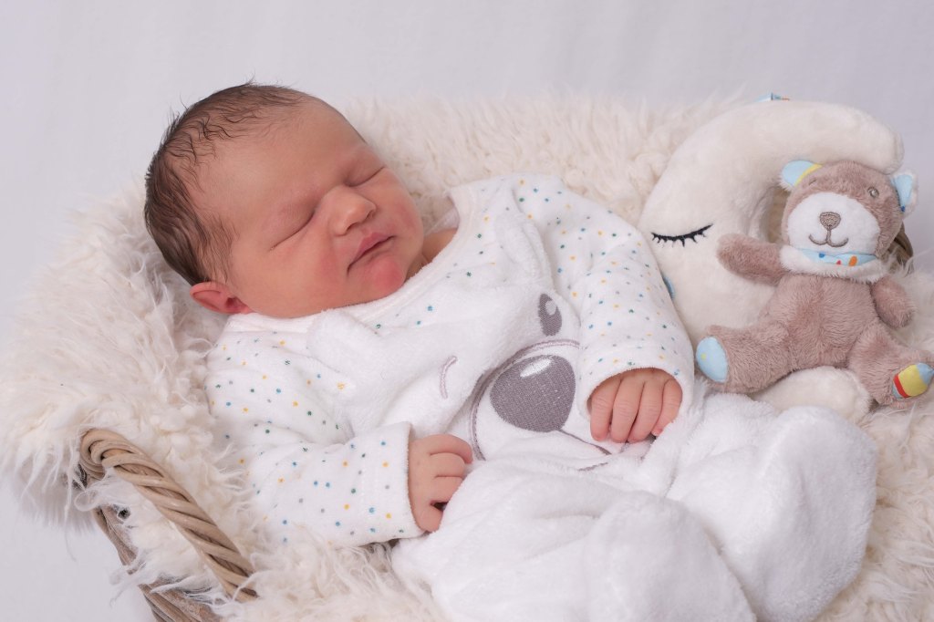 Levin Alexander Simon