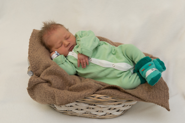 Leo Johannes Gollinger