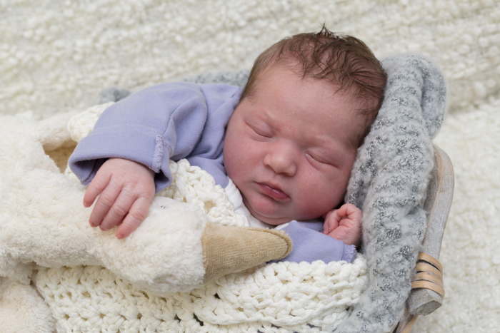 Annalena Christina Moser