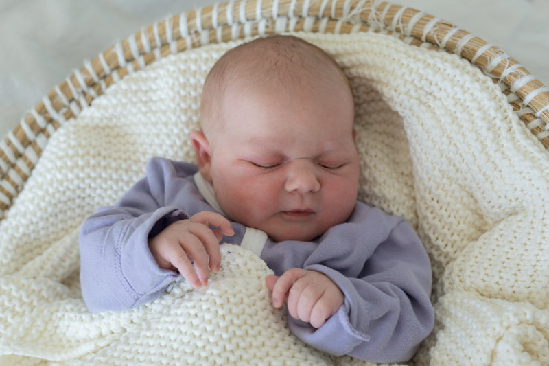 Genoveva Katharina Dettendorfer