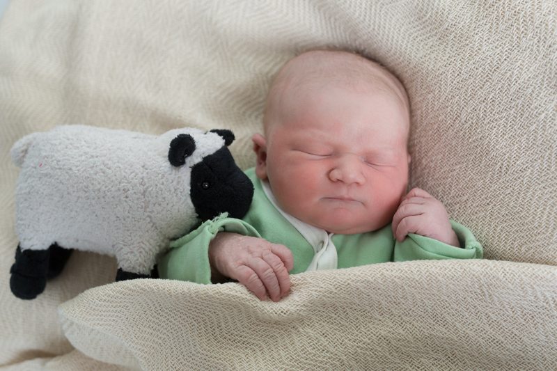 Jonathan Maximilian Pickl