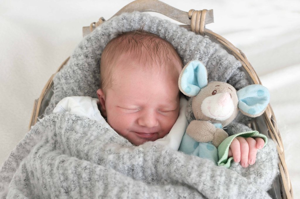 Niklas Felix Sattler