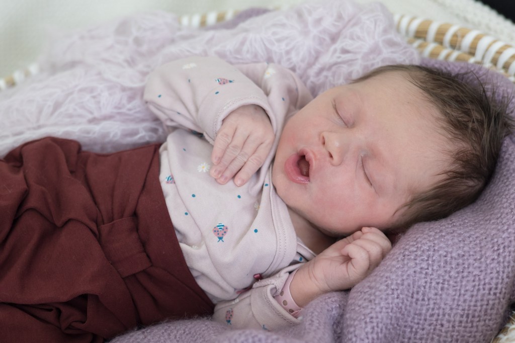 Franziska Carolina Hoffmann