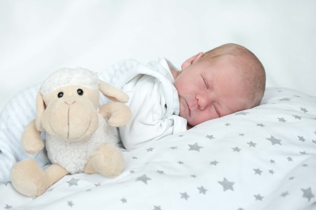 Eva Theresa Kirchlechner