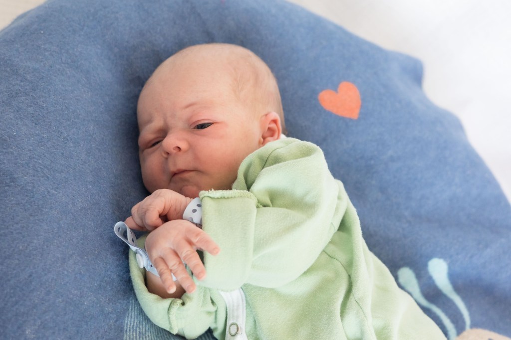 Korbinian Ludwig Quest