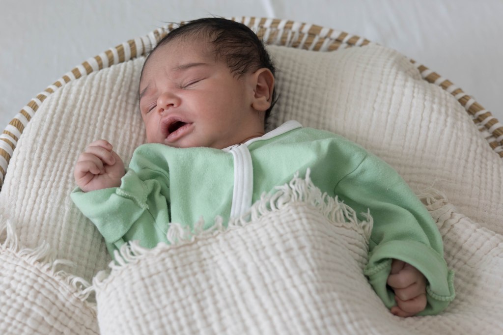 Shaheen Firas Husein&nbsp;Husein