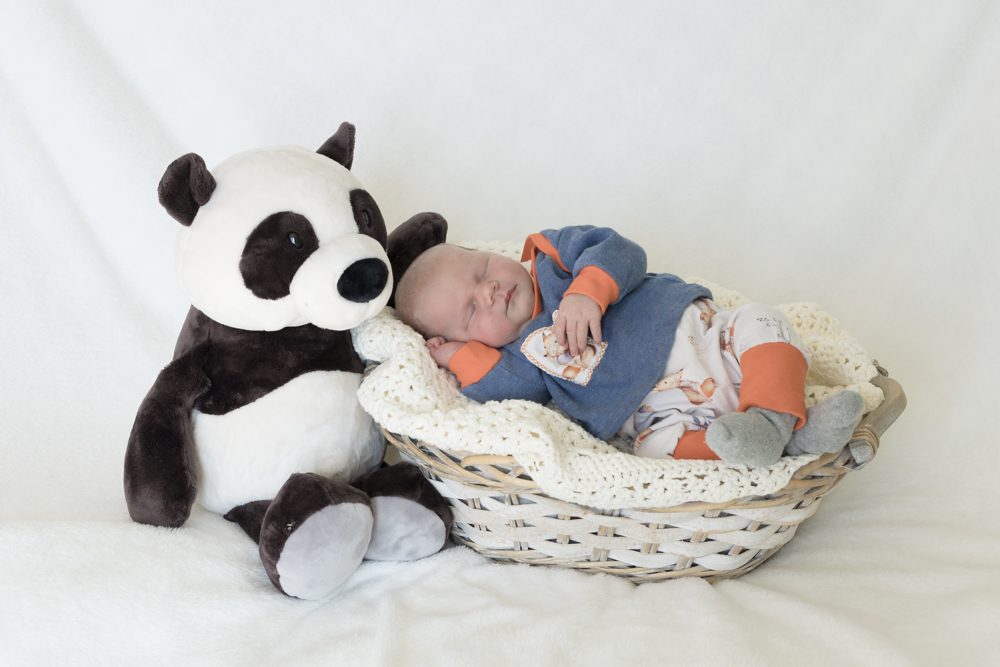 Fidelia Stephanie Praßl