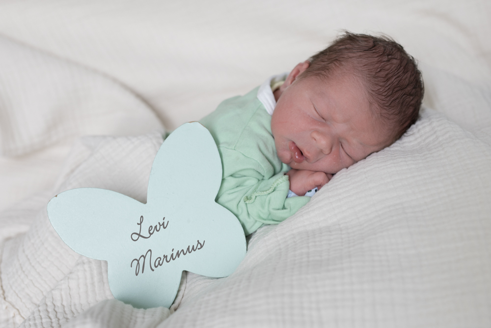Levi Marinus Hamberger